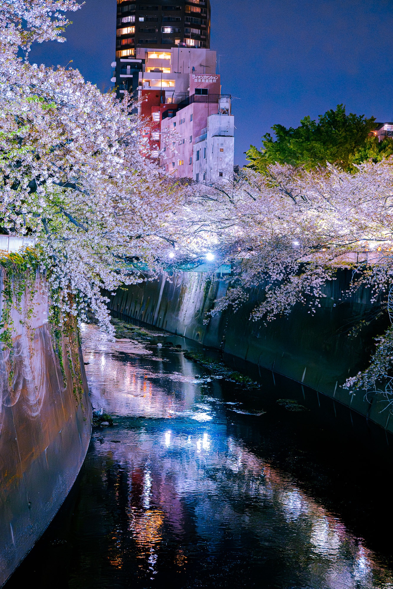 面影橋